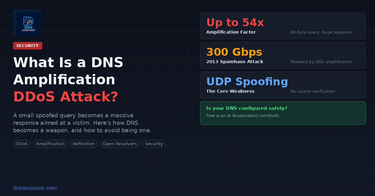What Is a DNS Amplification DDoS Attack?
